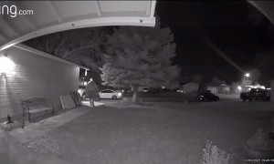 Cute Kid Makes Friends with Delivery Dude
