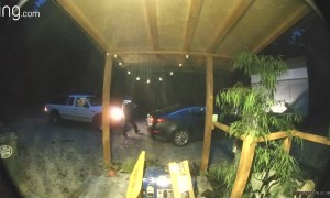 Ding Dong Dangit for Delivery Driver