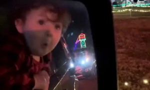 Surprised toddler in awe of Christmas lights display