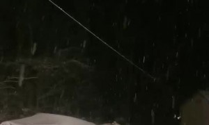Samoyed Puppy Sees Snow for First Time