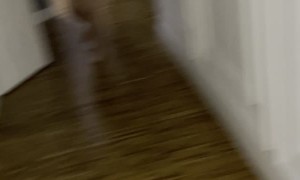 Bengal Cat Gets Bag Stuck on Head