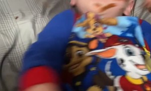 Elf Makes a Mess on Kiddo's Face