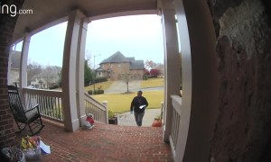 Appreciation for the Mail Carrier