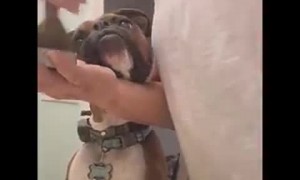 Pup Does Make Up With Mom