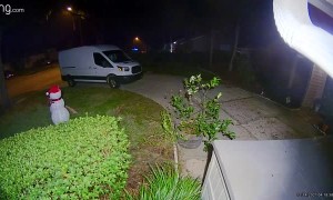 Bear Cub Slays Snowman Decoration