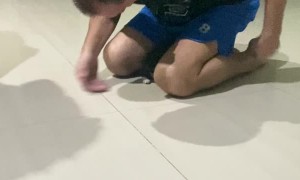 Cute Kitten Loves to Play