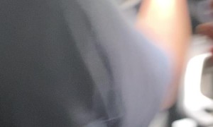 Wild Bear Wants a Ride