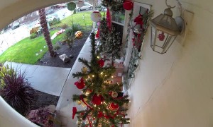 Delivery Driver Fixes Christmas Decorations after Storm
