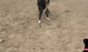 High Winds Kick Up Dust on Colorado Ranch