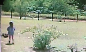 Zoomies Overturn Kid