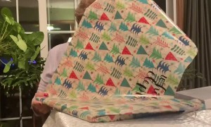 Holiday Present Prank Gives Grandma's Items Back