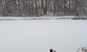 Ice Cracks Under Confident Man