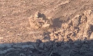 Creature From the Pond at the Paper Mill