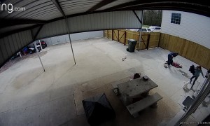 Ring Camera Catches Concrete Faceplant