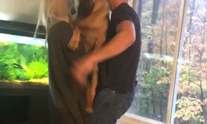 Doggy Will Only Let Dad Pick Her Up