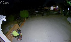 Elderly Person on Scooter Steals Ladder