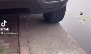 Tight Streets Force Cars to Park on the Edge