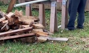 DIY Coyote Rollers for an Escape Artist Dog