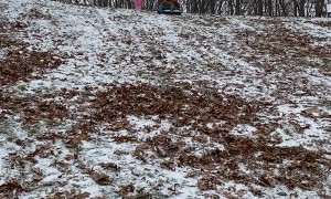 First Time Sledding Doesn't Go As Expected