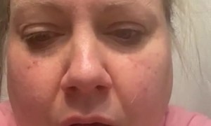 Woman Documents Chaos After Cat Brings Flying Squirrel Inside