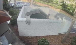 Man Faceplants While Taking Out the Trash