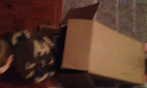 Sliding Down Stairs Takes Unexpected Flip