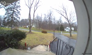 Man Slides Down Icy Steps All the Way to the Bottom
