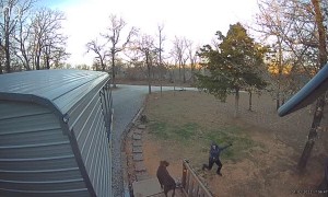 Excited Dog Runs Over Kid