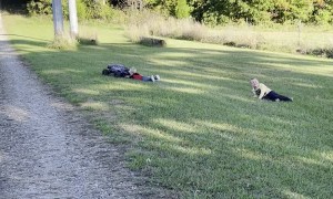 RC Car Tows Boy Along With Ease