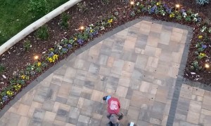 Fishing for Fast Food