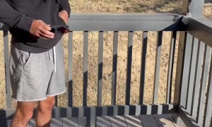 Woman Surprises Boyfriend with Color Blind Glasses