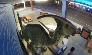 Stranger with Tools in Pocket Steals Dinosaur from Store
