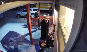 Strangers Take Kid's Shoes