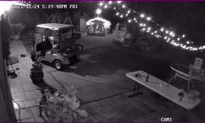 Niece Nearly Takes Out Nativity Scene