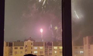 Fireworks Display Fascinates Doggy