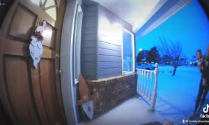Ring Doorbell Captures Icy Step Slam