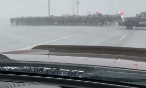 Police Provide Escort for Crossing Cattle