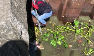 Film Crew Save Doggy From Murky Water