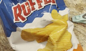 Dog Spies on Owner Eating Chips