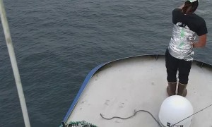 Getting the Greenhorn to "Calibrate" the Radar