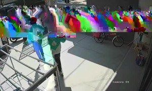 Delivery Person Left Behind After Dog Escapes