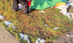 Twin Boys Have Hilarious Snowball Fight