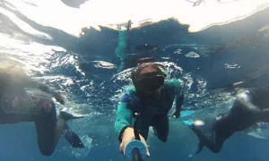 Incredible Up-Close Video of a Whale's Tail Slap
