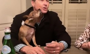 Dog Cleans Dad's Face for Comfort