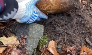 Satisfying Pipe Clog Clearing