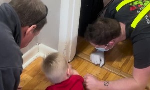 Distressed Toddler has Fingers Freed by Rescue Workers