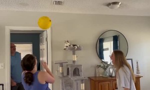 Kitty Plays Balloon Game With Family