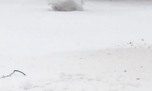 Snow Sculpture Steals Snowman's Spotlight