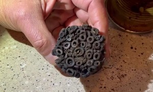 Opening a 10-Year-Old Can of SpaghettiOs