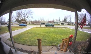 Canvasser Has a Conversation with the Dog